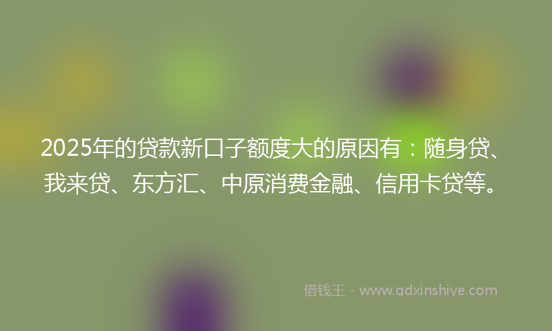 2025年的贷款新口子额度大的原因有：随身贷、我来贷、东方汇、中原消费金融、信用卡贷等。