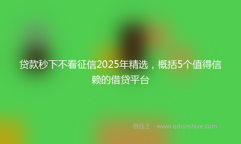 贷款秒下不看征信2025年精选，概括5个值得信赖的借贷平台