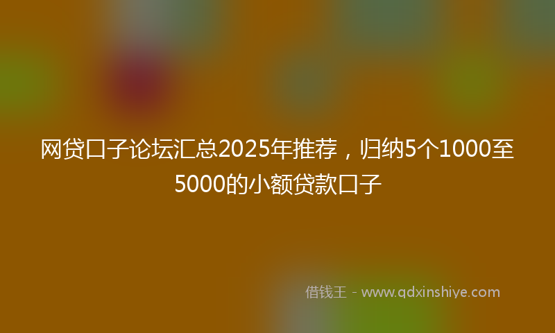 网贷口子论坛汇总2025年推荐，归纳5个1000至5000的小额贷款口子