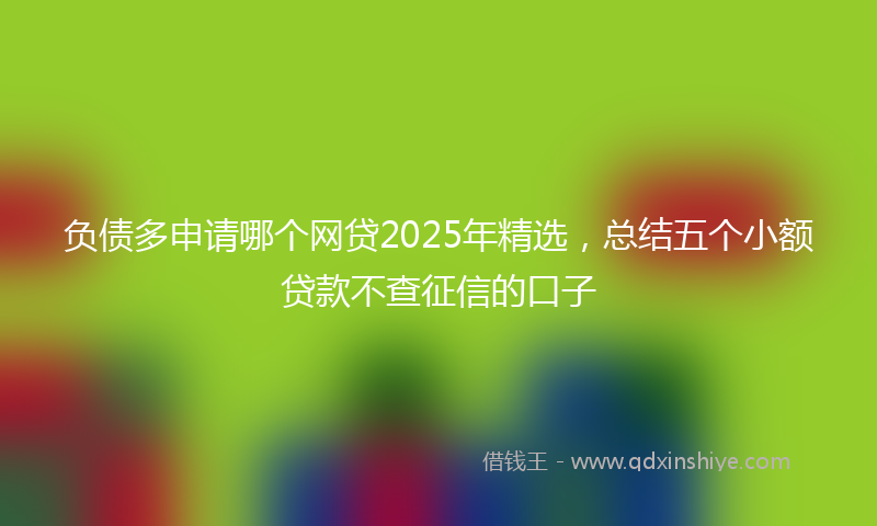 负债多申请哪个网贷2025年精选，总结五个小额贷款不查征信的口子