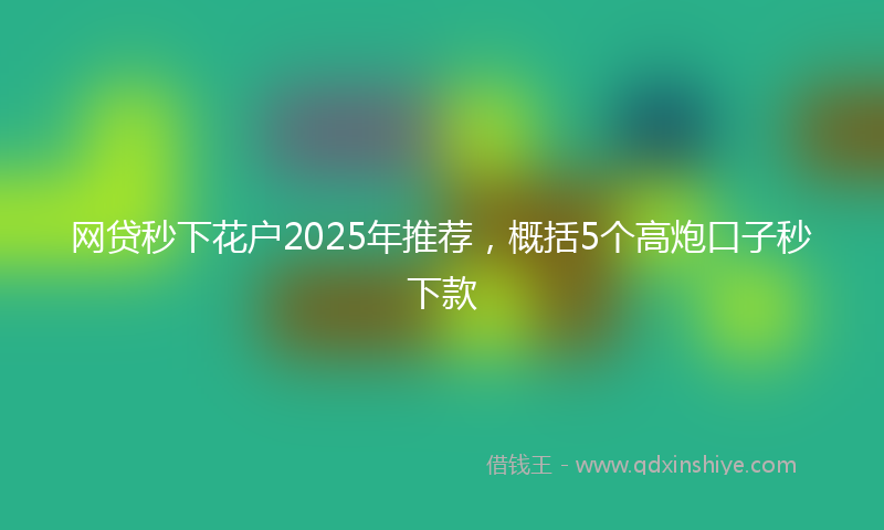 网贷秒下花户2025年推荐，概括5个高炮口子秒下款
