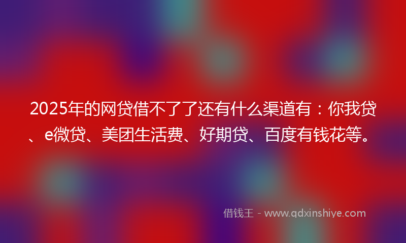 2025年的网贷借不了了还有什么渠道有：你我贷、e微贷、美团生活费、好期贷、百度有钱花等。