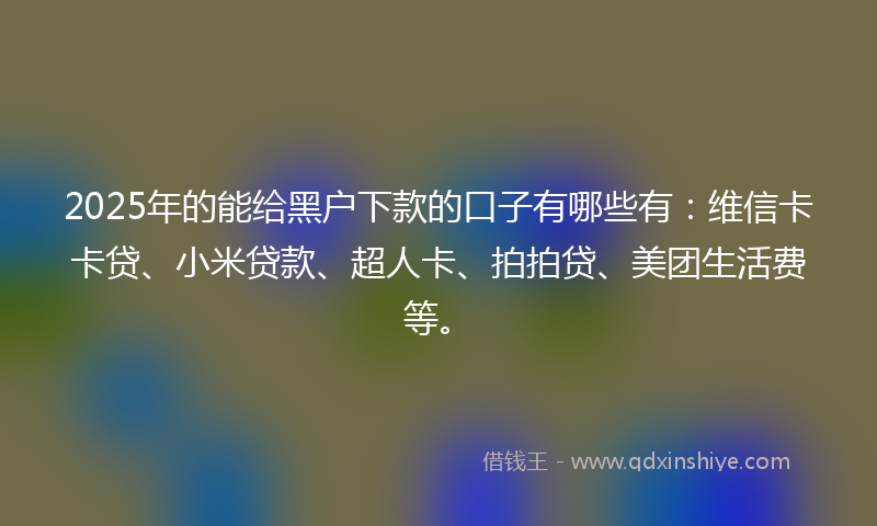 2025年的能给黑户下款的口子有哪些有：维信卡卡贷、小米贷款、超人卡、拍拍贷、美团生活费等。