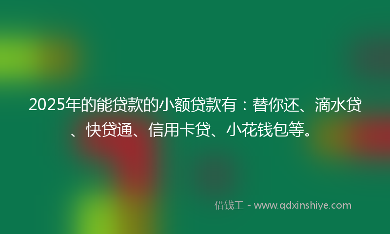 2025年的能贷款的小额贷款有：替你还、滴水贷、快贷通、信用卡贷、小花钱包等。