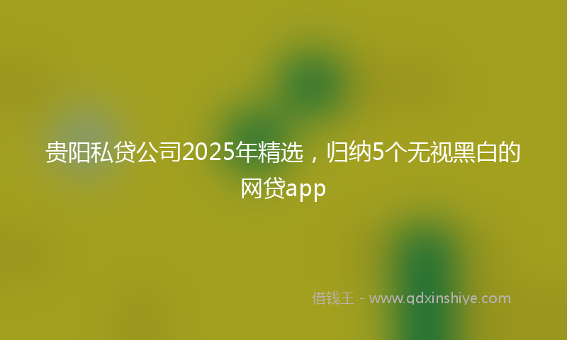 贵阳私贷公司2025年精选，归纳5个无视黑白的网贷app