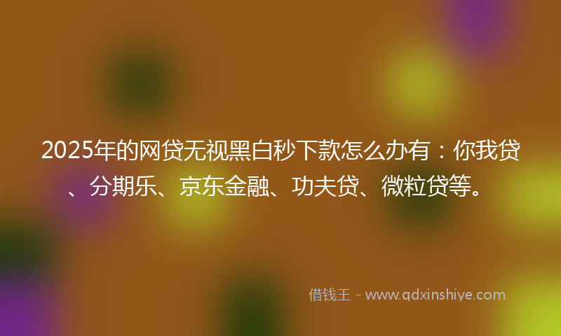 2025年的网贷无视黑白秒下款怎么办有：你我贷、分期乐、京东金融、功夫贷、微粒贷等。