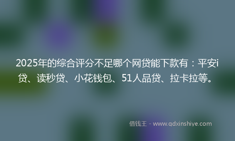 2025年的综合评分不足哪个网贷能下款有：平安i贷、读秒贷、小花钱包、51人品贷、拉卡拉等。