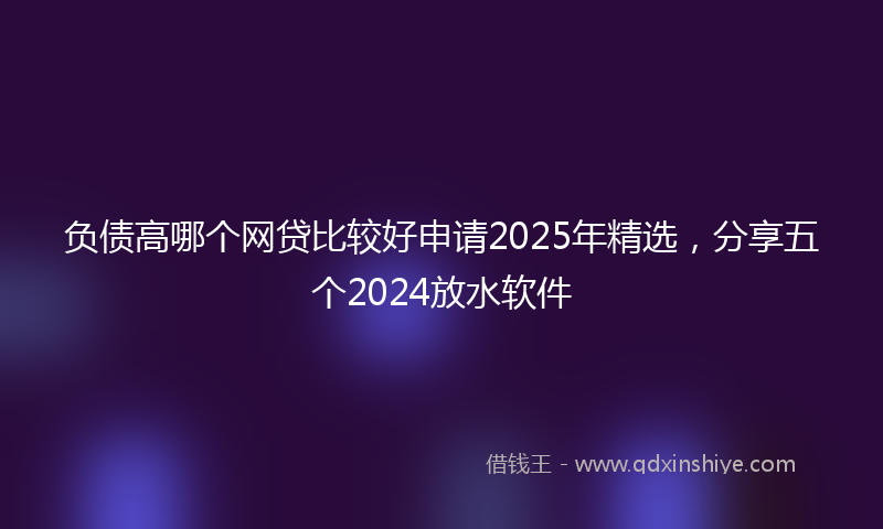 负债高哪个网贷比较好申请2025年精选，分享五个2024放水软件
