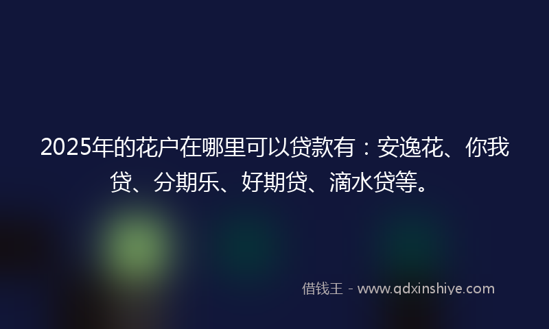 2025年的花户在哪里可以贷款有：安逸花、你我贷、分期乐、好期贷、滴水贷等。