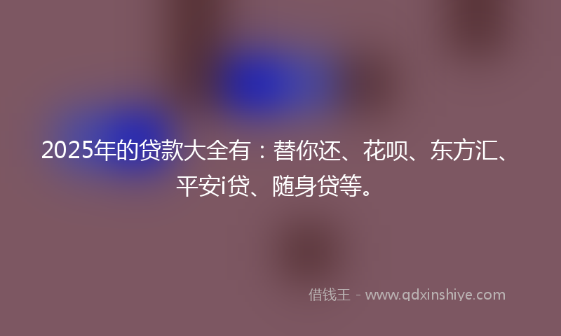 2025年的贷款大全有：替你还、花呗、东方汇、平安i贷、随身贷等。