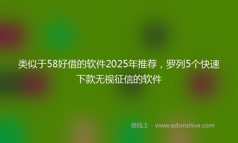 类似于58好借的软件2025年推荐，罗列5个快速下款无视征信的软件
