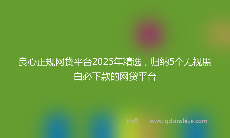 良心正规网贷平台2025年精选，归纳5个无视黑白必下款的网贷平台