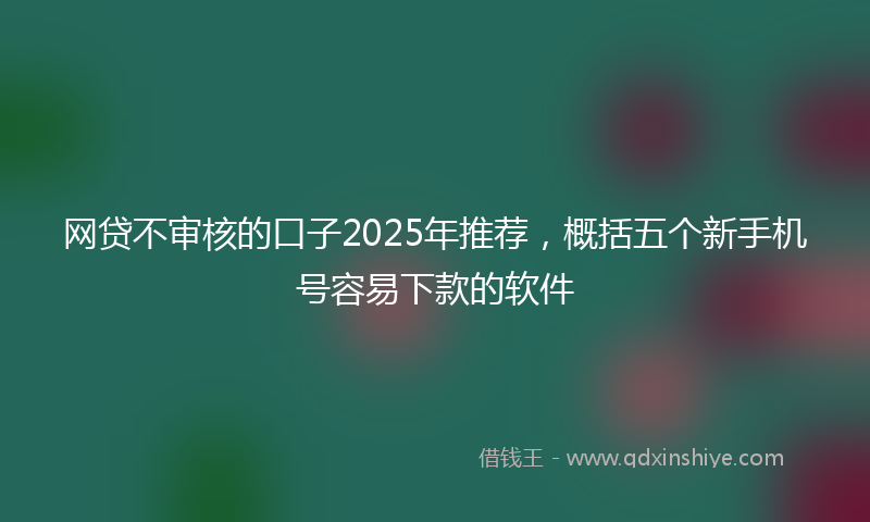 网贷不审核的口子2025年推荐，概括五个新手机号容易下款的软件