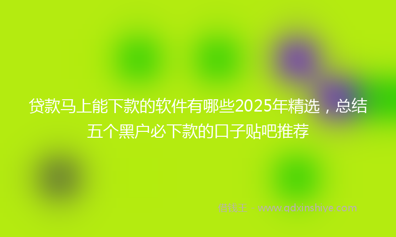 贷款马上能下款的软件有哪些2025年精选，总结五个黑户必下款的口子贴吧推荐