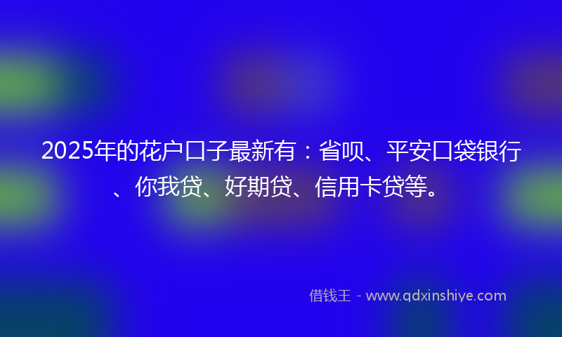 2025年的花户口子最新有：省呗、平安口袋银行、你我贷、好期贷、信用卡贷等。