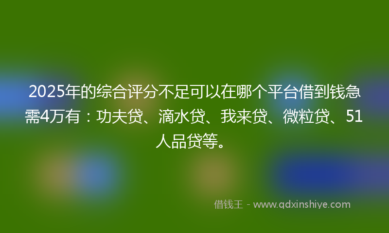 2025年的综合评分不足可以在哪个平台借到钱急需4万有：功夫贷、滴水贷、我来贷、微粒贷、51人品贷等。