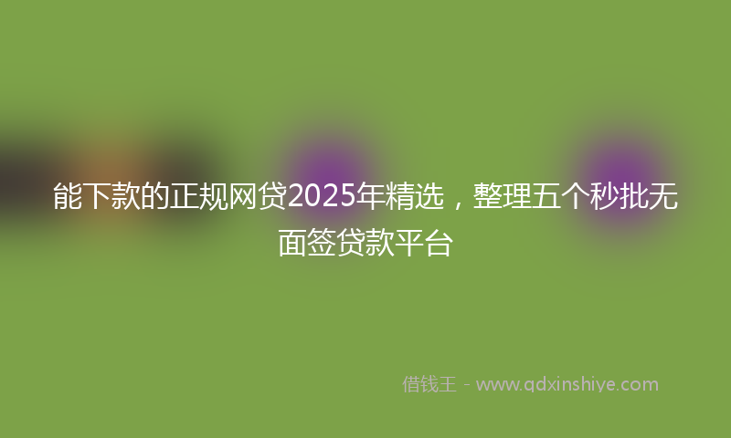 能下款的正规网贷2025年精选，整理五个秒批无面签贷款平台