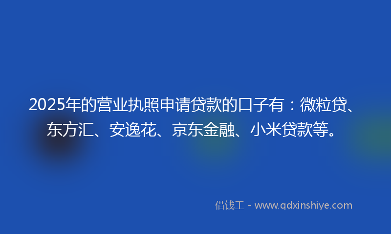 2025年的营业执照申请贷款的口子有：微粒贷、东方汇、安逸花、京东金融、小米贷款等。