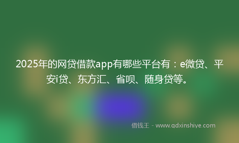 2025年的网贷借款app有哪些平台有：e微贷、平安i贷、东方汇、省呗、随身贷等。