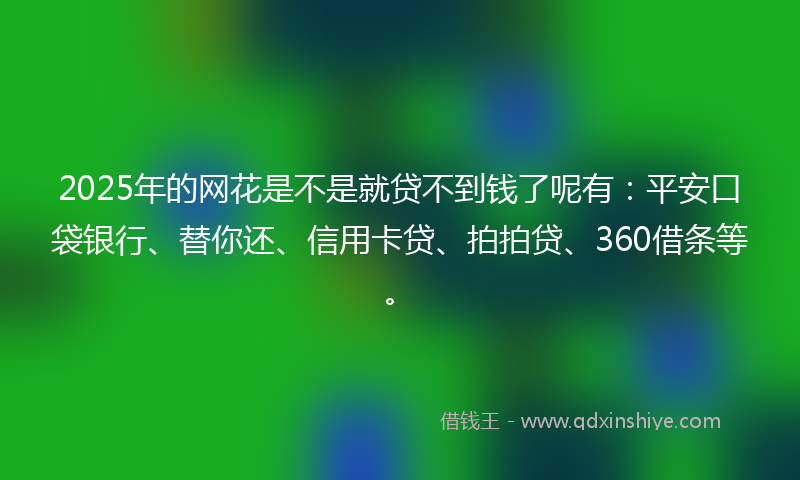 2025年的网花是不是就贷不到钱了呢有：平安口袋银行、替你还、信用卡贷、拍拍贷、360借条等。