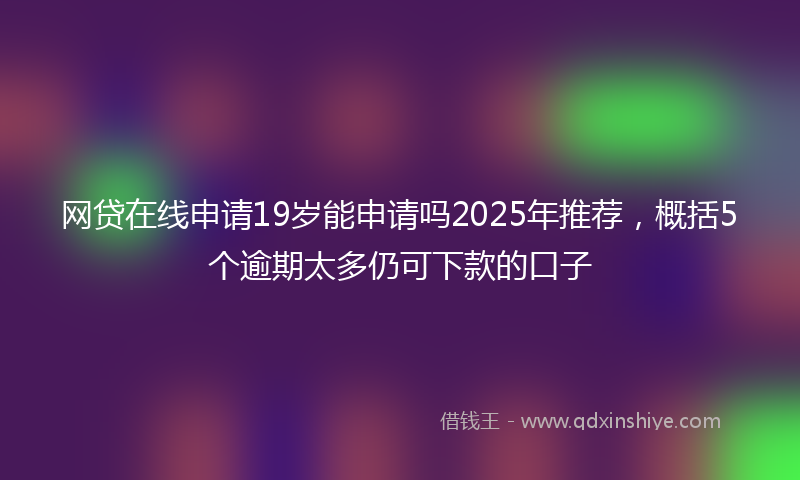网贷在线申请19岁能申请吗2025年推荐，概括5个逾期太多仍可下款的口子