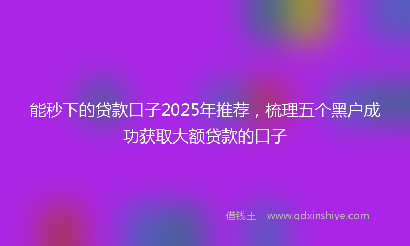 能秒下的贷款口子2025年推荐，梳理五个黑户成功获取大额贷款的口子