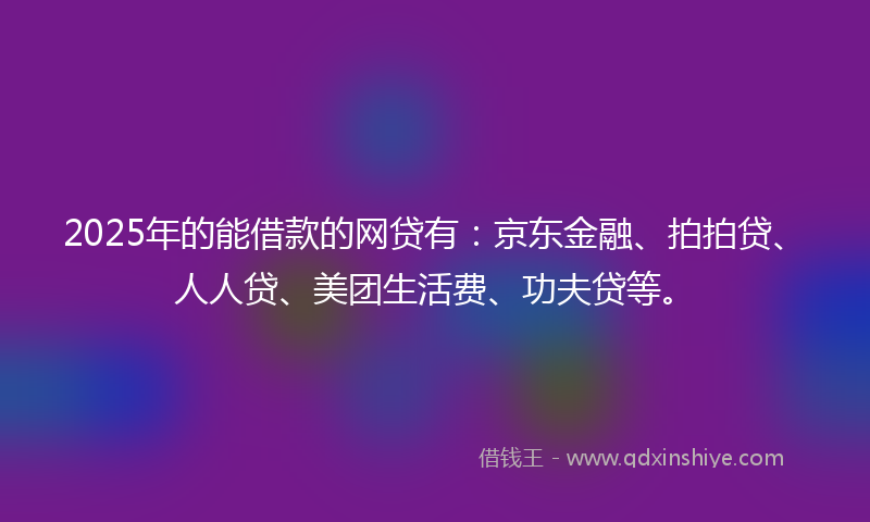 2025年的能借款的网贷有：京东金融、拍拍贷、人人贷、美团生活费、功夫贷等。