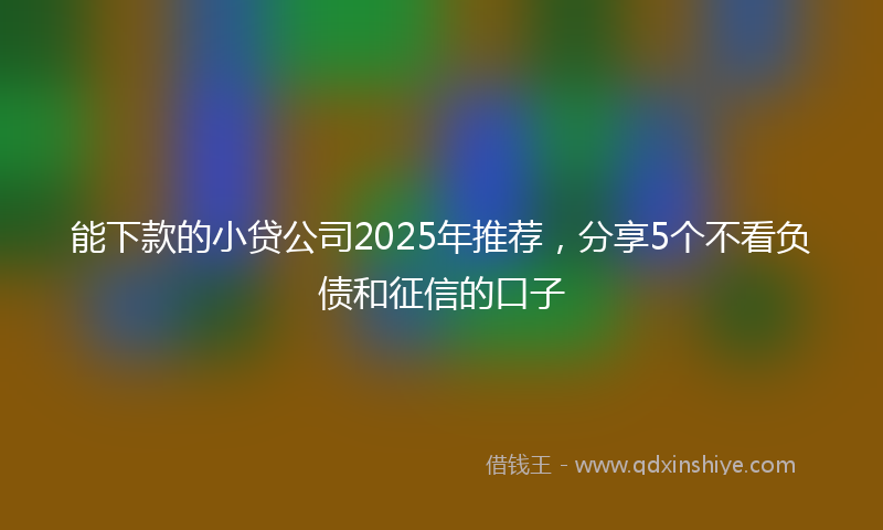 能下款的小贷公司2025年推荐，分享5个不看负债和征信的口子