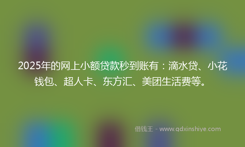 2025年的网上小额贷款秒到账有：滴水贷、小花钱包、超人卡、东方汇、美团生活费等。