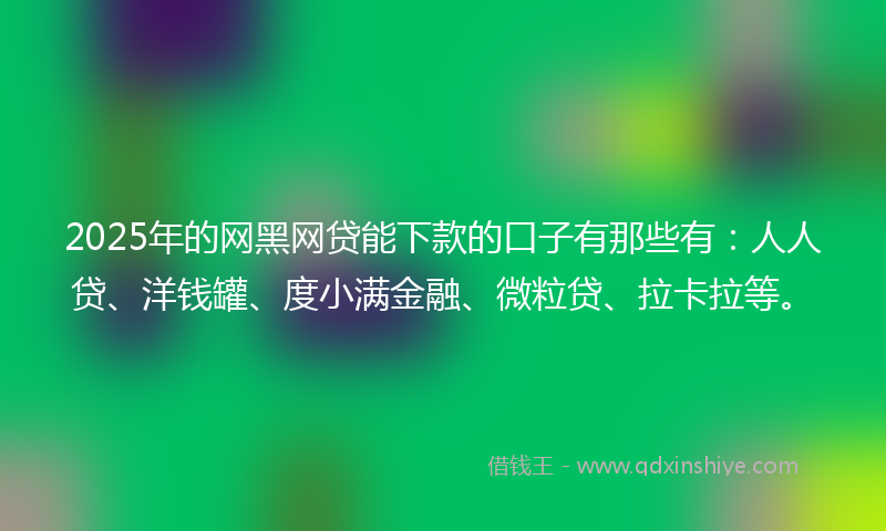 2025年的网黑网贷能下款的口子有那些有：人人贷、洋钱罐、度小满金融、微粒贷、拉卡拉等。
