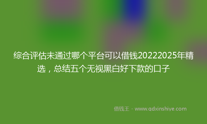 综合评估未通过哪个平台可以借钱20222025年精选，总结五个无视黑白好下款的口子