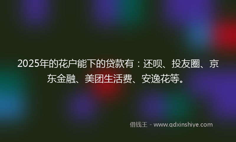2025年的花户能下的贷款有：还呗、投友圈、京东金融、美团生活费、安逸花等。