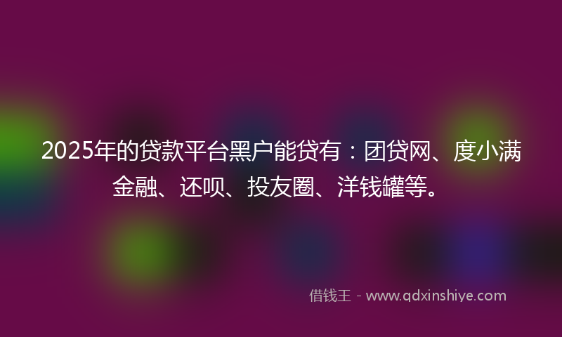 2025年的贷款平台黑户能贷有：团贷网、度小满金融、还呗、投友圈、洋钱罐等。