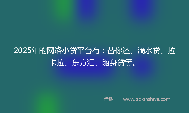 2025年的网络小贷平台有：替你还、滴水贷、拉卡拉、东方汇、随身贷等。