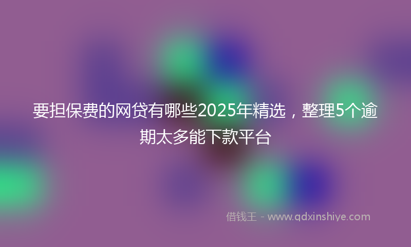 要担保费的网贷有哪些2025年精选，整理5个逾期太多能下款平台