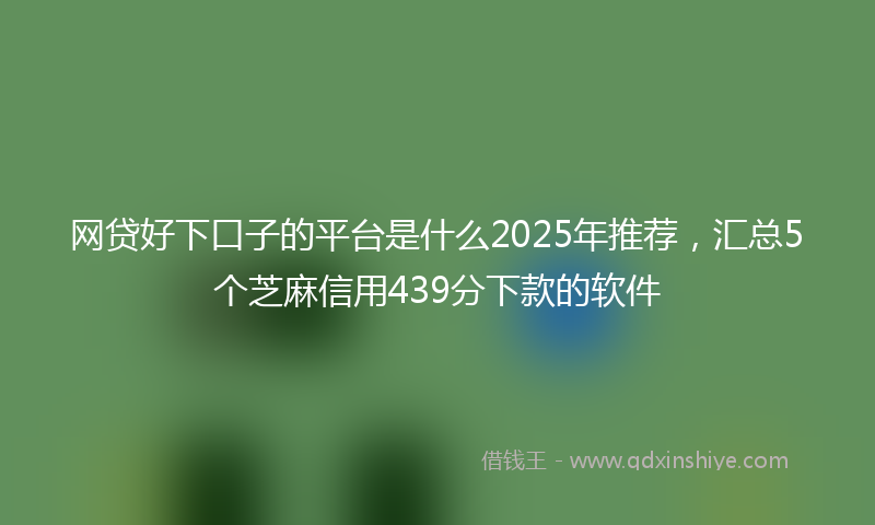 网贷好下口子的平台是什么2025年推荐，汇总5个芝麻信用439分下款的软件