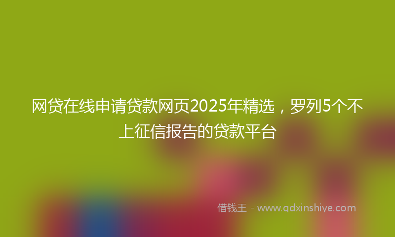 网贷在线申请贷款网页2025年精选，罗列5个不上征信报告的贷款平台