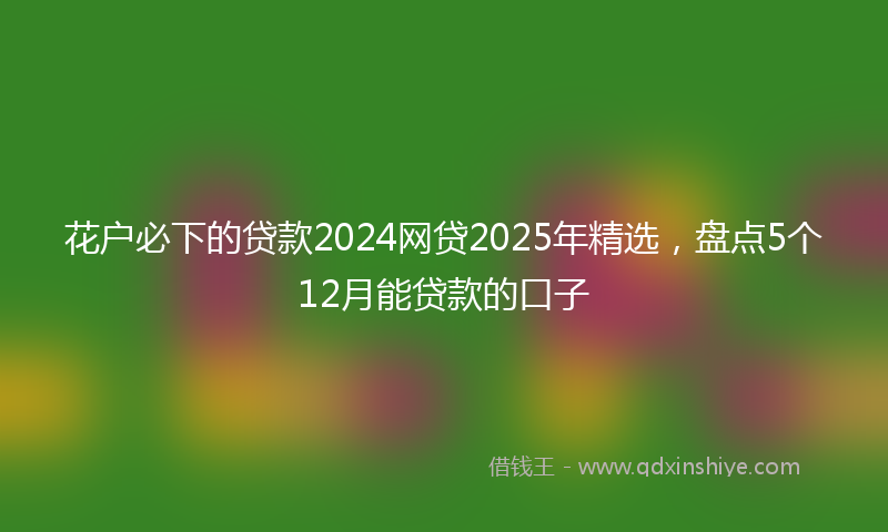花户必下的贷款2024网贷2025年精选,盘点5个12月能贷款的口子