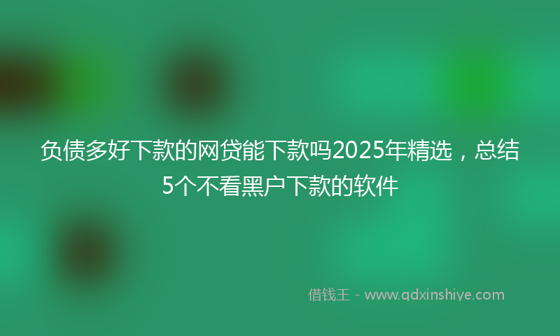 负债多好下款的网贷能下款吗2025年精选，总结5个不看黑户下款的软件