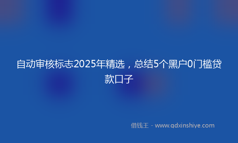 自动审核标志2025年精选，总结5个黑户0门槛贷款口子