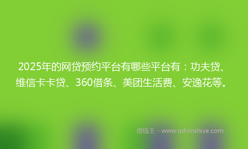 2025年的网贷预约平台有哪些平台有：功夫贷、维信卡卡贷、360借条、美团生活费、安逸花等。