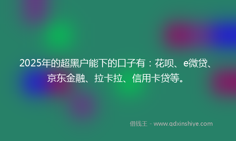 2025年的超黑户能下的口子有：花呗、e微贷、京东金融、拉卡拉、信用卡贷等。