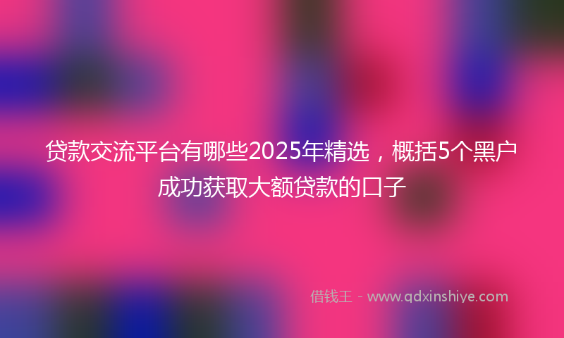 贷款交流平台有哪些2025年精选，概括5个黑户成功获取大额贷款的口子