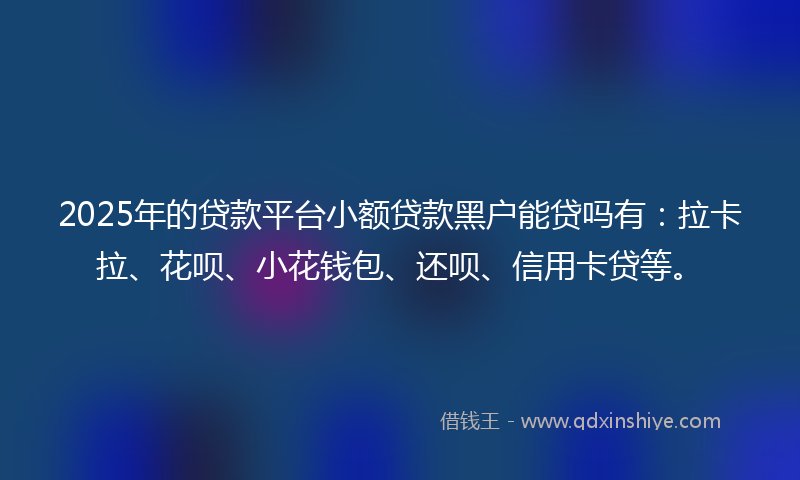 2025年的贷款平台小额贷款黑户能贷吗有：拉卡拉、花呗、小花钱包、还呗、信用卡贷等。