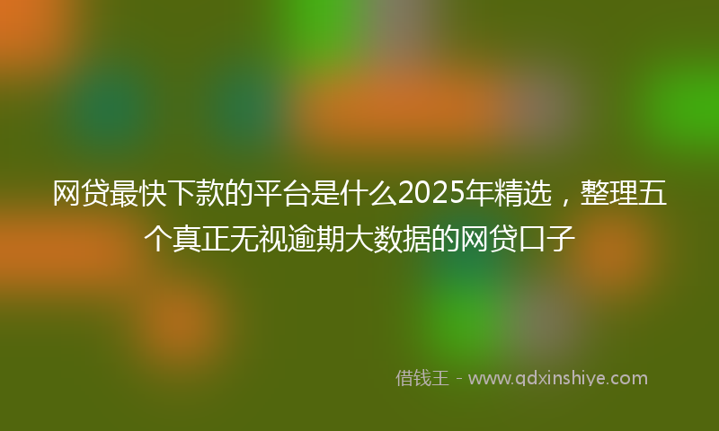 网贷最快下款的平台是什么2025年精选，整理五个真正无视逾期大数据的网贷口子