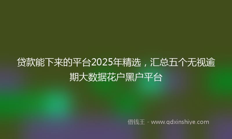 贷款能下来的平台2025年精选，汇总五个无视逾期大数据花户黑户平台