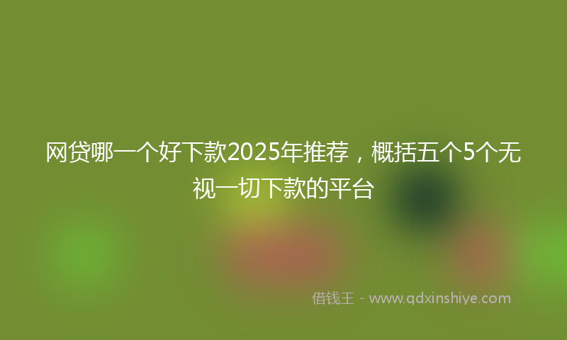 网贷哪一个好下款2025年推荐，概括五个5个无视一切下款的平台