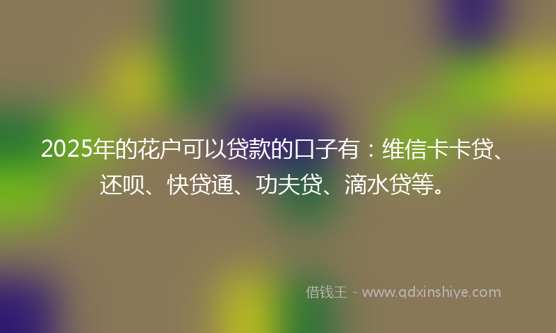 2025年的花户可以贷款的口子有：维信卡卡贷、还呗、快贷通、功夫贷、滴水贷等。