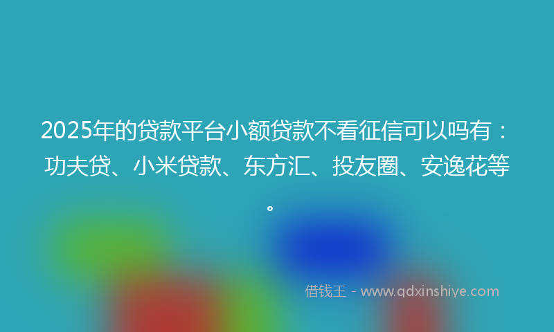 2025年的贷款平台小额贷款不看征信可以吗有：功夫贷、小米贷款、东方汇、投友圈、安逸花等。