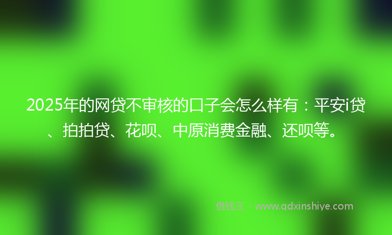 2025年的网贷不审核的口子会怎么样有：平安i贷、拍拍贷、花呗、中原消费金融、还呗等。